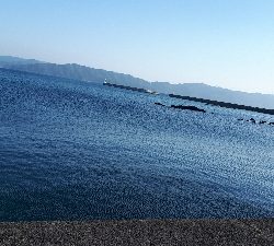 筋肉痛ジギング