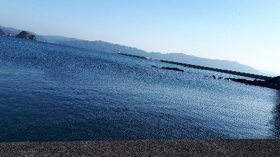 筋肉痛ジギング