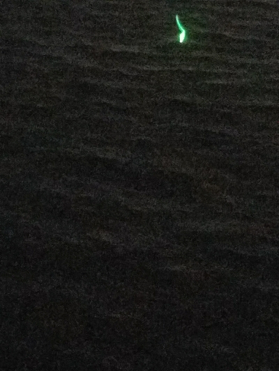 太刀魚釣り ~指四本、91センチ~