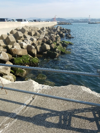 ガシラ釣り　～陽気で気持ちいい～