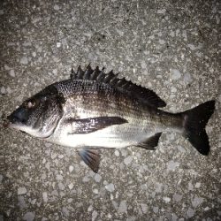 風を避けて移動しながら