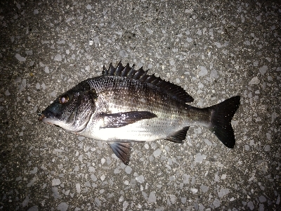 風を避けて移動しながら