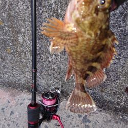 プラグ縛りの釣行