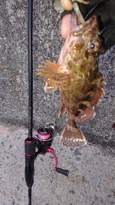 プラグ縛りの釣行
