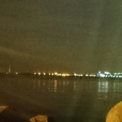 サイズがイマイチ…