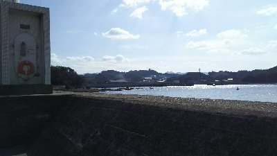 今年初ヒラスズキ！