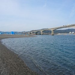 仁淀川河口周辺サーフショアジギング