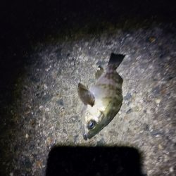 天気良かったので適当に