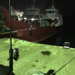 ボウズ逃れのヒイカ1杯σ(^_^;)