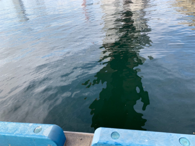 フィッシングショーには釣ってから行くねん♫