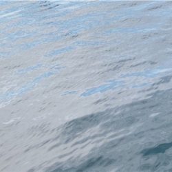 やっぱりVJキテタ━━(゚∀゚)━━!!!!