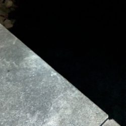 早朝ロックゲーム