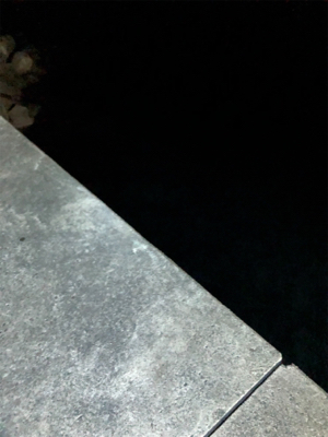 早朝ロックゲーム