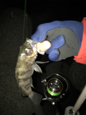 メバリング 短時間