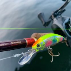 ありがとうガッシー