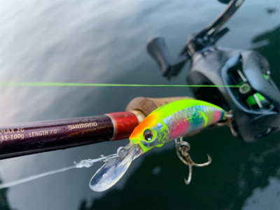 ありがとうガッシー