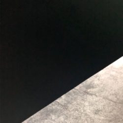 メバル、カサゴ