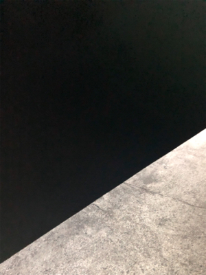 メバル、カサゴ