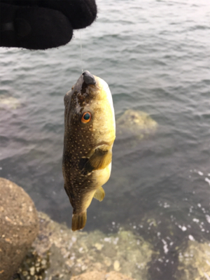 小雪が舞う中エビ撒き