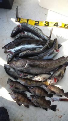 プライベートボートで仙台湾カレイ・スロージギング