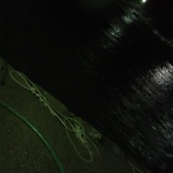 大荒れライトゲーム