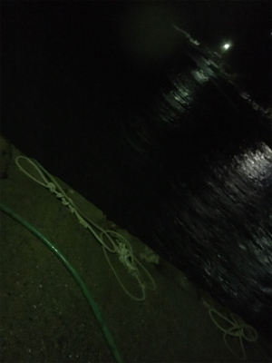 大荒れライトゲーム