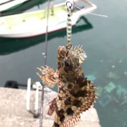 牛深ライトゲーム②