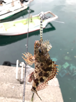 牛深ライトゲーム②