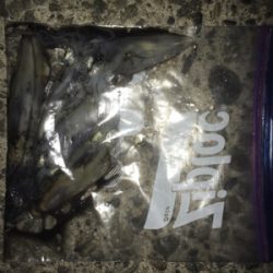 まだ居てる〜( ^ω^ )♪♪