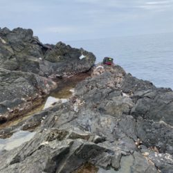 小才角 磯フカセ