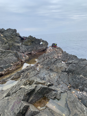 小才角 磯フカセ