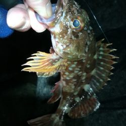 ナイトメバリング