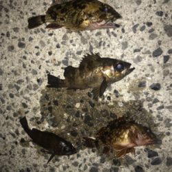 仲間とメバリング