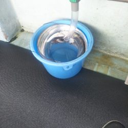 出血大サービス!