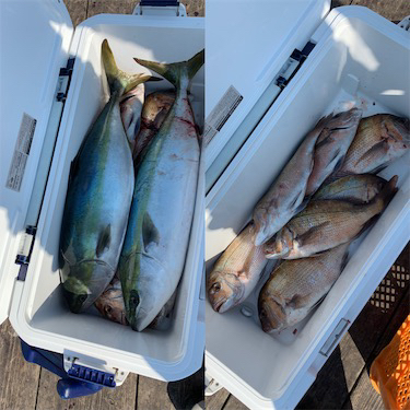 釣堀紀州さんにて