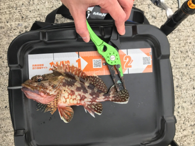 アジを求めて御所浦釣行①