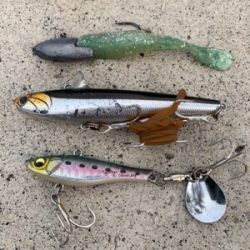 アタリ数あれど。。。