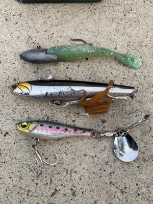 アタリ数あれど。。。