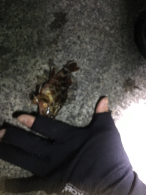 指をくわえてライトゲーム