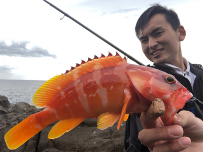 弁天ハードロック!