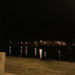 アジを求めて御所浦釣行③