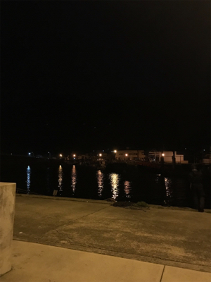 アジを求めて御所浦釣行③