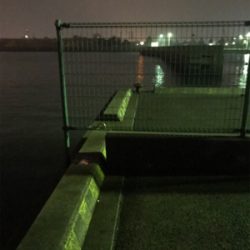 久しぶりの魚(^^)