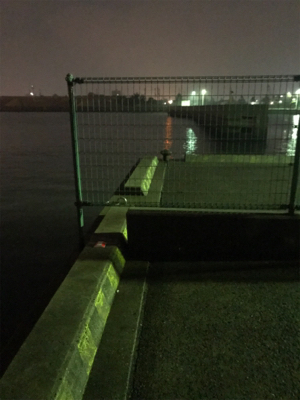 久しぶりの魚(^^)