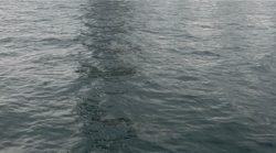 爆風バックラ大爆発