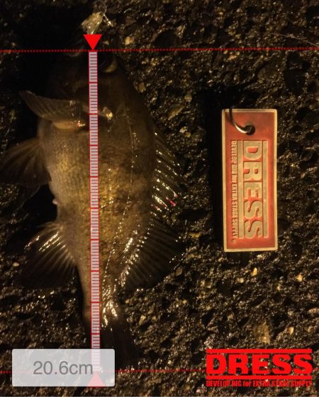 ライトゲーム修行