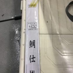 小豆島  鯛サビキ