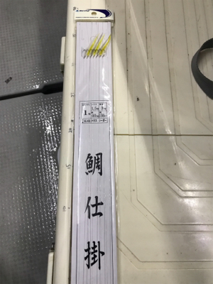 小豆島  鯛サビキ