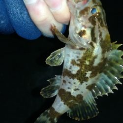 ナイトメバリング