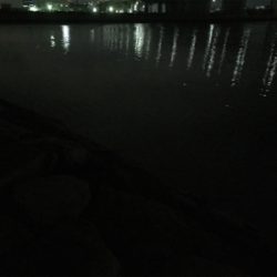 相変わらず小さい ( ˘ω˘ )